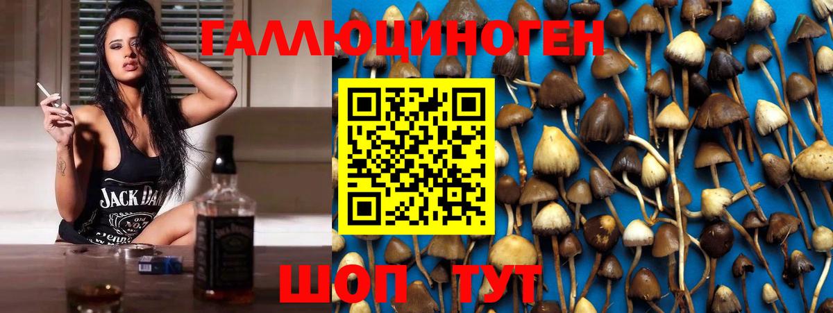 Галлюциногенные грибы Magic Shrooms Трёхгорный