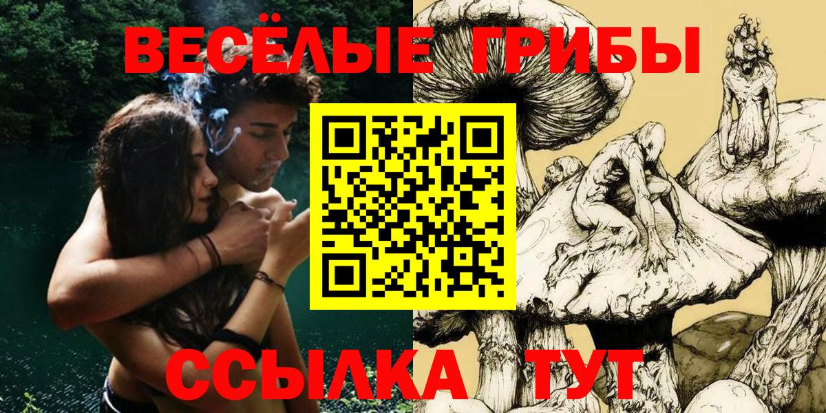 купить наркоту  Галлюциногенные грибы мухоморы  Вход с VPN  Трёхгорный  Галлюциногенные грибы Cubensis 